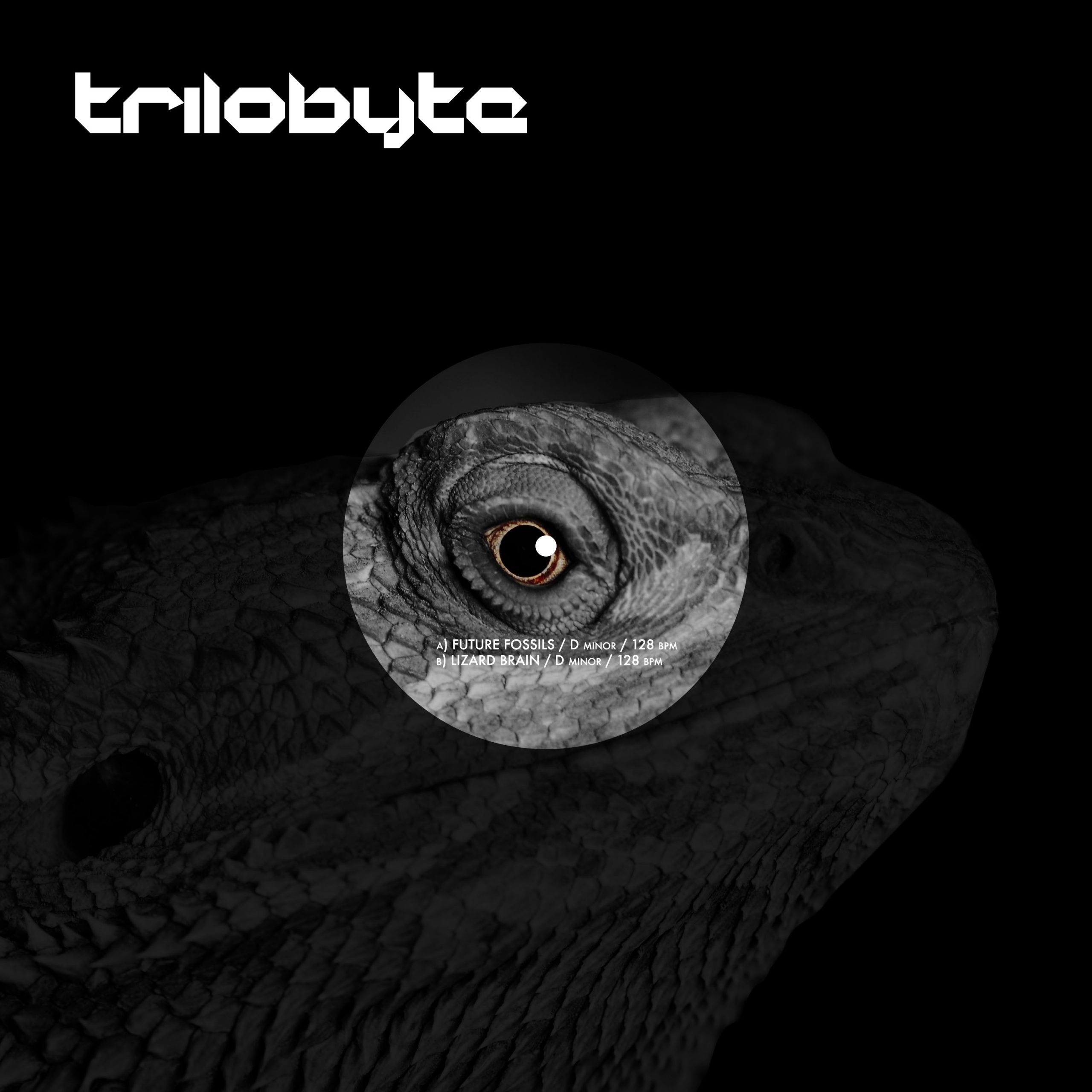 Trilobyte - Future Fossils